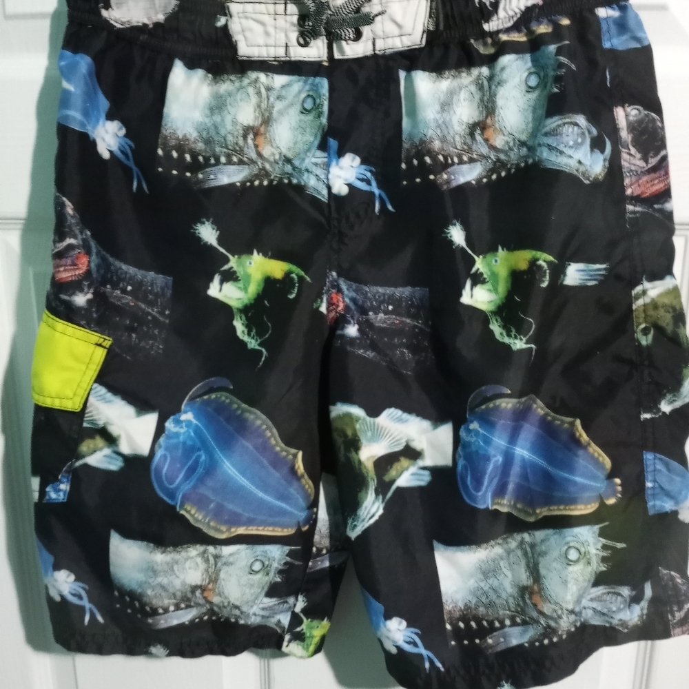 Swim trunks 2 pair See pics👀